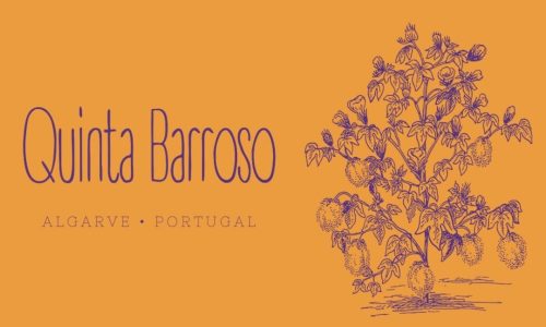 489838187_4021304958139039_9108709759080103372_n